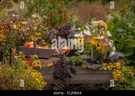 An abundant display of freshly picked autumnal flowers, fruit and vegetables, arranged on a rustic wooden bench in a garden. Stock Photo