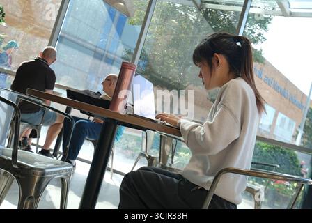 female person using laptop in cafe, norfolk and norwich university hospital, norwich, norfolk, england Stock Photo