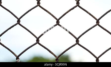 Rusty mesh fencing with blurred tree in the background. Stock Photo