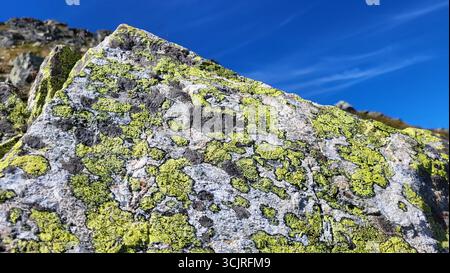 Natural rock background covered with vivid green moss and lichen beneath a steel blue sky Stock Photo