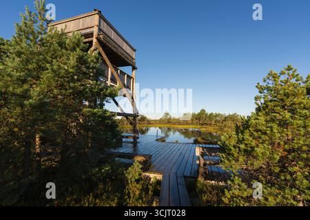 Scenic view of a wooden observation tower and boardwalk over a tranquil bog lake in a beautiful Estonian national park. Stock Photo