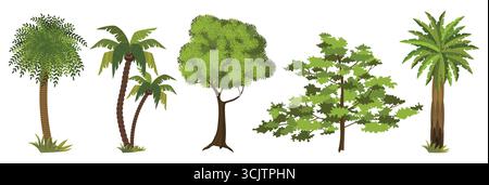Collection of diverse green trees including palms and tall conifers against a white background. Stock Vector