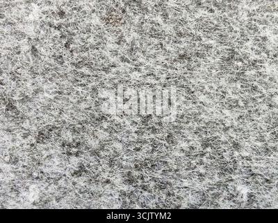 Grey abstract fibrous background, texture of felt fabric. Stock Photo