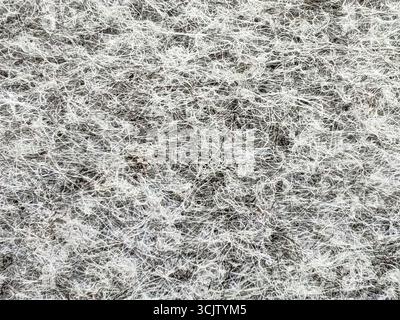 Grey abstract fibrous background, texture of felt fabric. Stock Photo