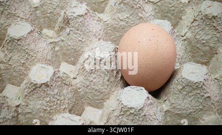 Single fresh brown egg in a recycled cardboard carton, isolated with copy space. Stock Photo