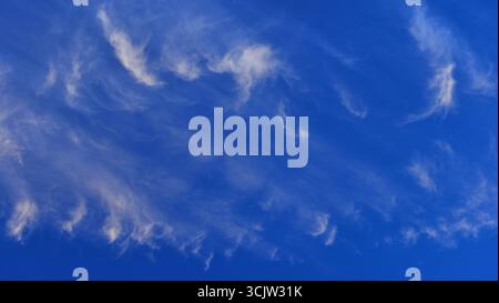 Rare formation of cirrus clouds in a deep blue sky. A beautiful wallpaper or print pattern for a scarf. Screensaver or illustrative photo. Stock Photo