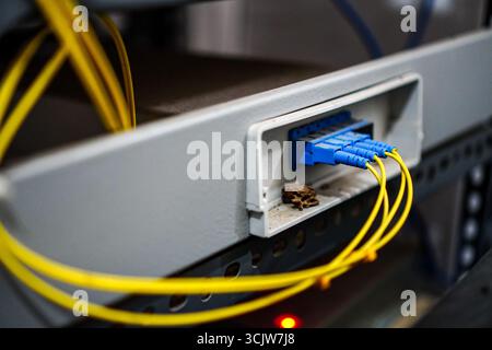 Close up shot of fiber optic cables plugged into a blue network switch with yellow wiring perfect for illustrating network connections and technology. Stock Photo