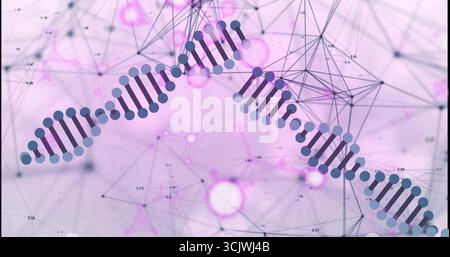 Rotating DNA double helix floating in network visualization with network nodes and numeric labels Stock Photo