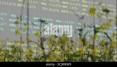 Displaying clusters of yellow flowering plants swaying in meadow with faint stock ticker overlay Stock Photo