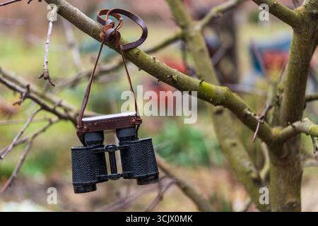 Old vintage binoculars hanging on a tree branch in spring day, close up, travel concept Stock Photo