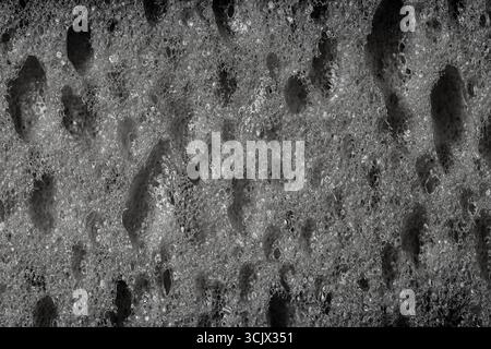 Sponge detail texture, sponge texture close up background. Cellulose sponge texture. Black and white Stock Photo