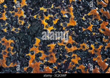 Blueberry pie on background , close up, top view. Surface texture of delicious blueberry pie Stock Photo