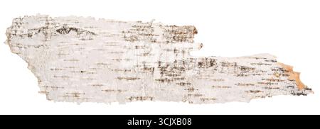 Birch bark isolated on white background Stock Photo