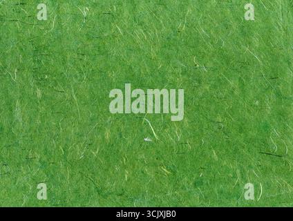 Hand made old vintage distressed textured green paper background with embedded straw for which is empty and blank with copy space, stationary stock ph Stock Photo