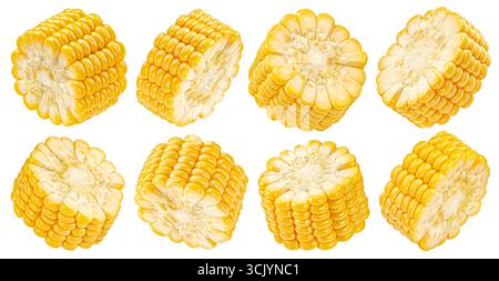 Corn cob slices isolated on white background, collection, full depth of field Stock Photo