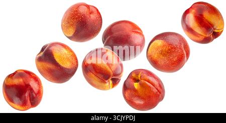 Falling nectarines isolated on white background, full depth of field Stock Photo