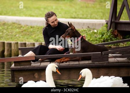 A woman sits on a wooden dock next to a large dog with swans swimming in the foreground. The tranquil setting and interaction between the woman and th Stock Photo