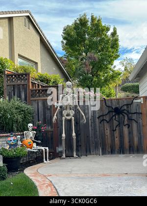 Halloween skeleton figures, a giant black spider, and a decorated pumpkin displayed in a residential yard against a wooden fence. Stock Photo