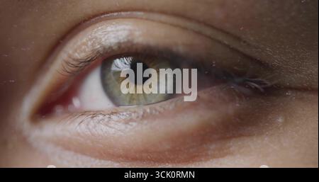 Single eye showing hazel iris and pupil in studio close-up with softbox reflection and skin detail Stock Photo