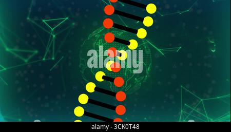Showing stylized DNA helix floating in digital network background, with green globe and nodes Stock Photo
