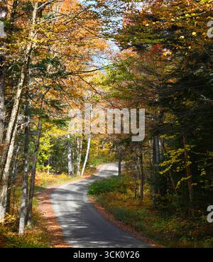 Jefferson Notch Road, in New Hampshire, is a colorful drive in the Fall.  Curving Road leads through quiet forest covered in Autumn foliage. Stock Photo