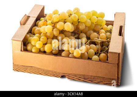 Bunch of white grapes to eat in a cardboard crate isolated on white with clipping path included Stock Photo