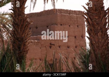 A traditional desert house in the Sahara with visible doors and windows, built using natural materials such as clay or mud bricks. Stock Photo