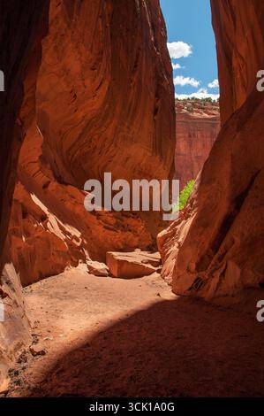 The Long Canyon slot canyon in the Grand Staircase-Escalante National Monument, near Boulder, Utah Stock Photo
