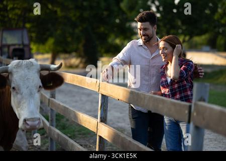 Young farmer couple looking at and admiring their cattle happily behind fence, early morning sun shining on them as man puts hand on girfriend's shoul Stock Photo