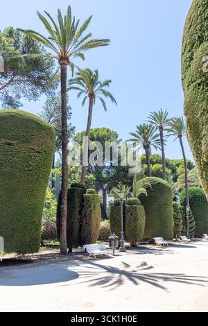 Sculpted topiary and palm trees in Parque Genoves, a historic botanical garden in Cadiz, Andalusia, Spain. Photographed in September 2025. Stock Photo