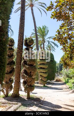 Sculpted topiary and palm trees in Parque Genoves, a historic botanical garden in Cadiz, Andalusia, Spain. Photographed in September 2025. Stock Photo
