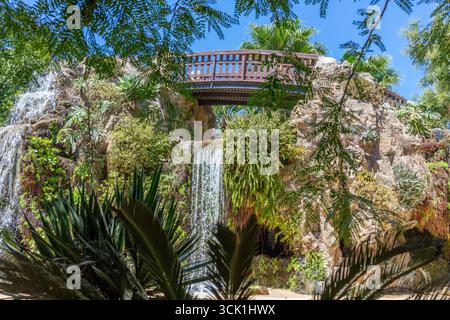 Sculpted topiary and palm trees in Parque Genoves, a historic botanical garden in Cadiz, Andalusia, Spain. Photographed in September 2025. Stock Photo