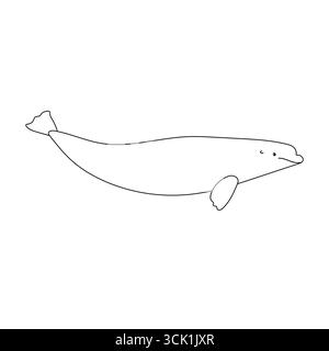 Vector flat hand drawn outline beluga whale isolated on white background Stock Vector