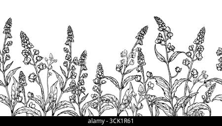 Wildflowers and leaves on seamless horizontal border, black and white sketch. Vector illustration. Pattern of meadow grass and foliage is isolated on Stock Vector