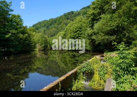 On the Enz river near Neuenbürg in the northern Black Forest, wooded bank, Enz District, Baden-Württemberg, Germany Stock Photo