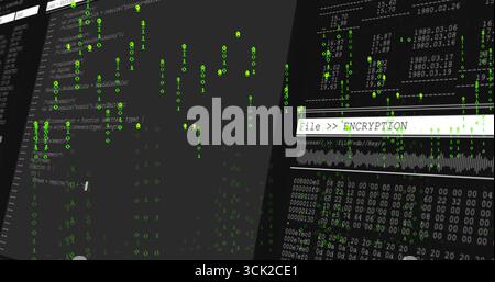 Dual monitors displaying File  ENCRYPTION text, binary and hex dump in lab, with progress bar Stock Photo
