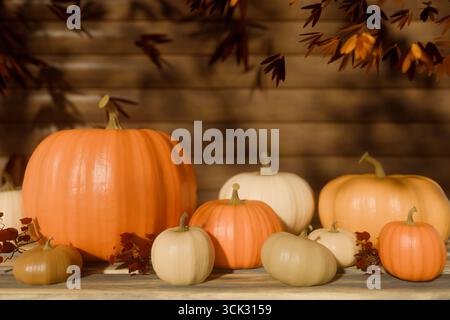 Various orange and white pumpkins arranged on a wooden surface, symbolizing autumn. 3d rendering Stock Photo