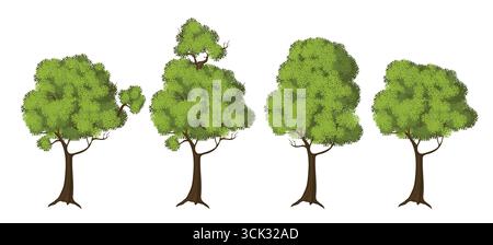 Illustration of four cartoon-style green leafy trees with different shapes and branches, isolated on a white background for design use. Stock Vector