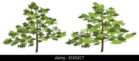 Two Forest Trees Illustration Lush Green Foliage with Brown Trunks and Branches in a Flat Vector Style on White Background. Stock Vector