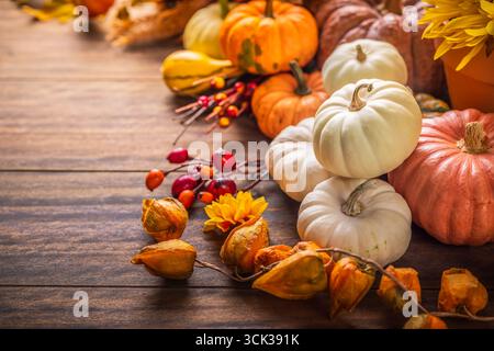 Still life with pumpkins, autumn fruits and plants, Thanksgiving arrangement with copy space Stock Photo