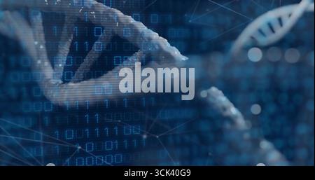 Rotating 3D DNA helix floating in molecular network, with binary overlay, glowing nodes, bokeh orbs Stock Photo