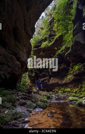 Young male hiker exploring Grand Canyon Blackheath Stock Photo