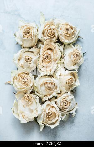 Dried rose heads, close-up, overhead view Stock Photo