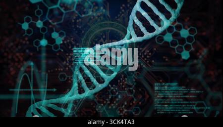 Spiraling turquoise DNA double helix crossing circuit board, with code snippets, molecular diagrams Stock Photo