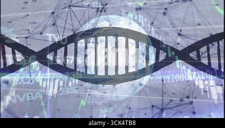 Displaying double helix hovering across data field, with globe, binary code, candlestick charts Stock Photo
