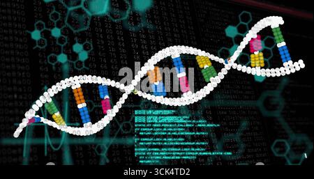 Displaying DNA helix with colored bases on screen amid scrolling code and hexagonal matrix diagrams Stock Photo