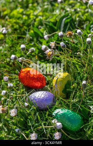 Colourful chocolate eggs in the grass Stock Photo