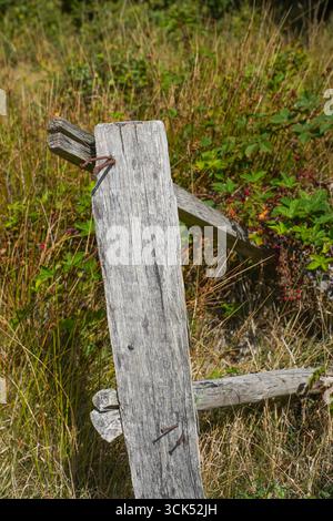 Old broken wooden fence in nature park. Stock Photo