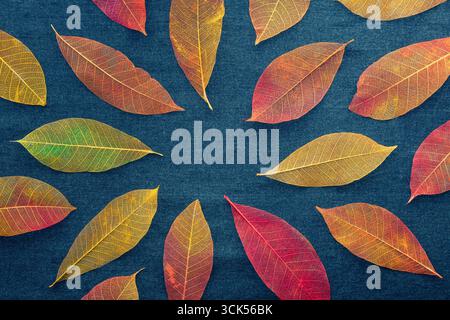 Autumn leaves frame on a blue background. Painted skeleton leaves with copy space. Fall banner Stock Photo