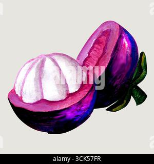 A vibrant illustration of a mangosteen fruit, showcasing its purple exterior and white, segmented flesh. Stock Photo